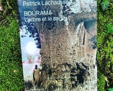 [SP]J’ai lu: BOURAMA L’arbre et le sage de Patrick Lachaussée