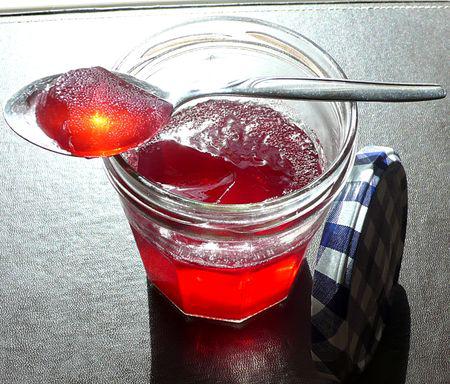 Silicone_v_g_tal_maison