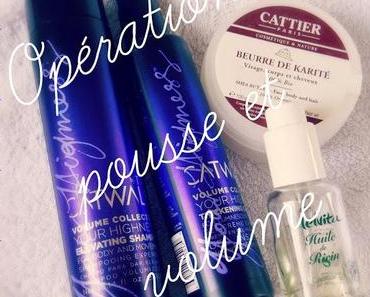 Routine Capillaire : Objectif Volume et Repousse !