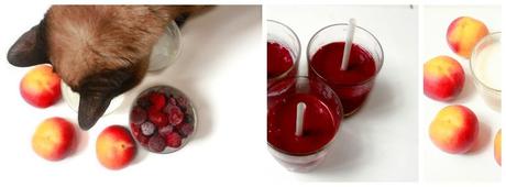 smoothie, chat, recette, fruits rouges