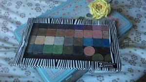 Z palette contenant les Book of Shadows Alice in Wonderland et New York- Urban Decay- indisponnible