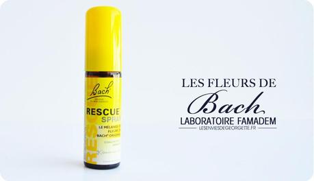 BachRescue