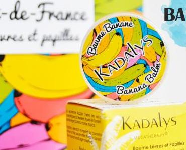 Baume lèvres et papilles de Kadalys