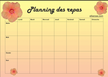 Planning Fleur Ellia Rose 1