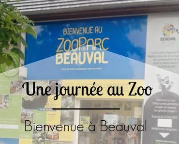 > Une journée au Zoo : bienvenue à Beauval !