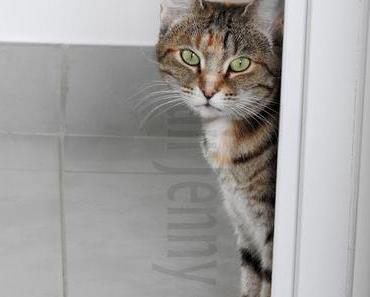 [TAG] S'il ne devait en rester qu'un | Mes Must-Have