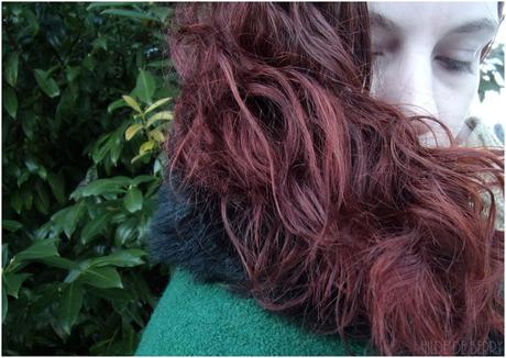 L'équilibre du Zinc et de la Sauge pour nos cheveux | John Masters Organics