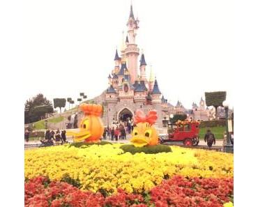 DisneylandParis, 30 conseils pour une journée réussie !
