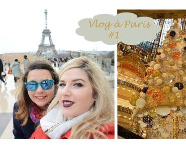 🗼Vlog à Paris avec les Trouvailles d’Anaya #1 : des touristes !