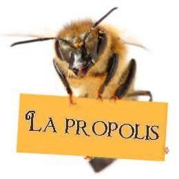 Le miel et les abeilles avec … Propolia