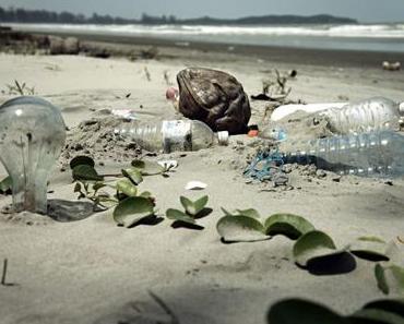 Nettoyage de plage La Rochelle avec Sea Shepherd