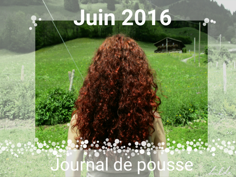 Journal de pousse - Juin 2016