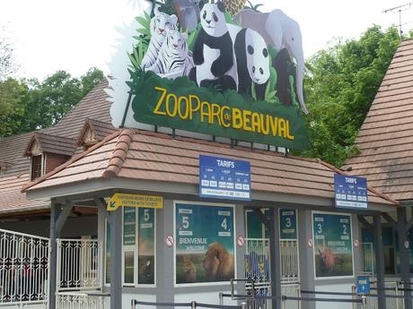 Une journée au Zoo-Parc de Beauval