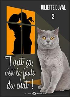 Chronique littéraire #56: Tout ça c'est la faute du chat 2