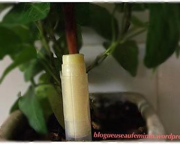 Baume à lèvre au miel