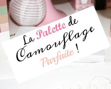 Sephora vs. Pantone: La palette de camouflage parfaite !
