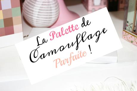 Sephora vs. Pantone: La palette de camouflage parfaite !
