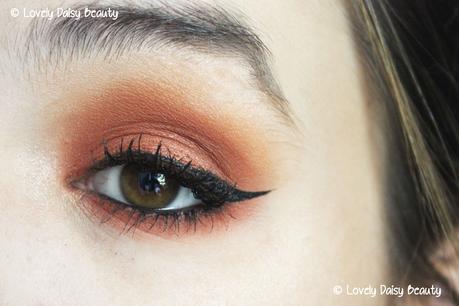 Rust on my Eyes for Fall 🍂🍁 | Monday Shadow Challenge