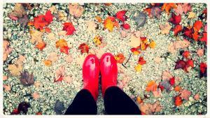 Changez votre routine beauté pour l’automne en mode Slow Cosmétique