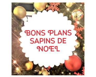 Sapin de Noel, 5 bons plans à découvrir sans tarder !