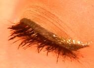 Maquillage Paillettes Facile & Rapide : Yeux, Lèvre et Ongles