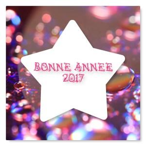 BONNE ANNEE 2017 !