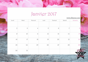 ✰ Calendrier gratuit à imprimer pink 2017 ✰