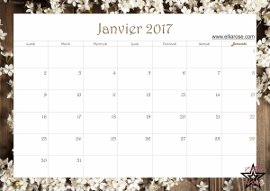 calendrier-2017-ellia-rose-printemps-janvier