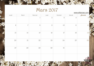 calendrier-2017-ellia-rose-printemps-mars