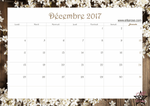 calendrier-2017-ellia-rose-printemps-decembre