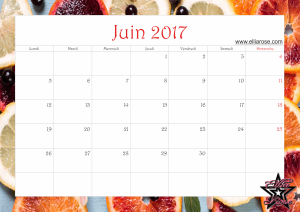 calendrier-2017-ellia-rose-agrumes-juin