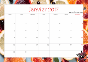 calendrier-2017-ellia-rose-agrumes-janvier