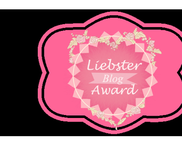 Tag Liebster Award