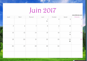 juin 2017 calendrier ellia rose paysage