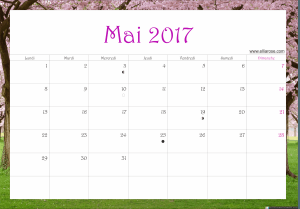 mai 2017 calendrier ellia rose paysage