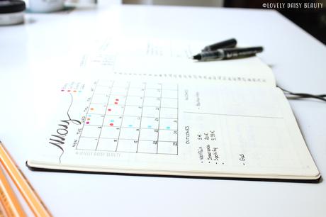 Plan the month with me : May  🔖🌱| Bullet Journal