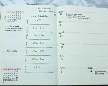 Bullet Journal Weekly Layout 📖| Work Schedule & To Do List