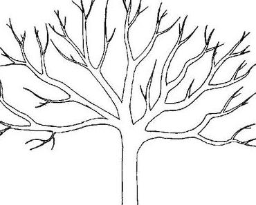 Elaguer un arbre : Pourquoi faire appel aux pros