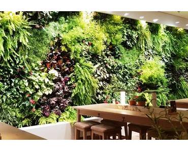 ❄ Un repas de fêtes chez Vapiano !