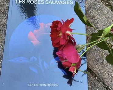 [SP] J’ai lu: Les roses sauvages de Marie Javet