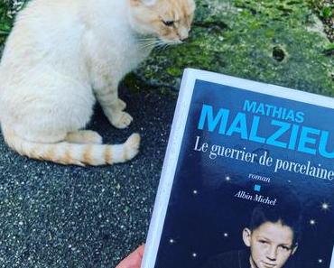 J’ai lu: Le guerrier de porcelaine de Mathias Malzieu