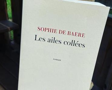 J’ai lu: Les ailes collées de Sophie de Baere