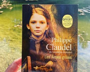 J’ai lu: Les âmes grises de Philippe Claudel