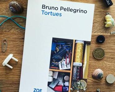 J’ai lu: Tortues de Bruno Pellegrino